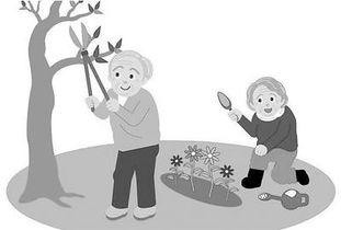 旅居养老产品待改观