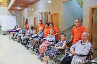 什么是成都社区居家养老的“110”服务模式?