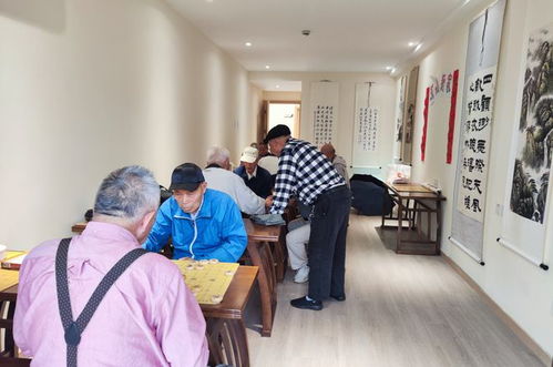 普陀人家门口的 家 ,又为老人加了哪些便利 一起来体验