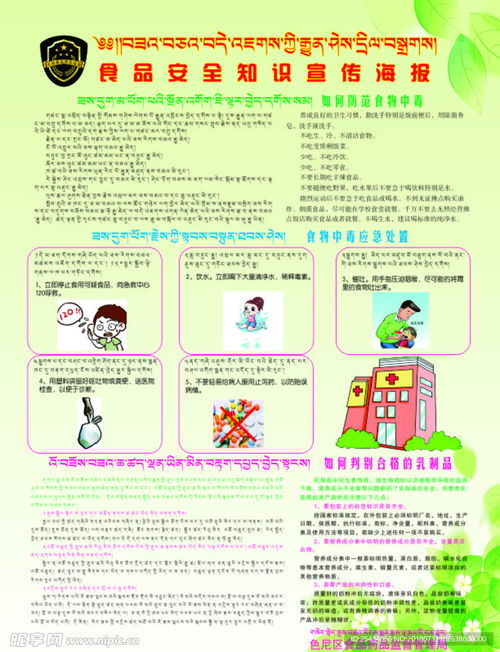 食品安全与养老服务 健康生活的双重保障